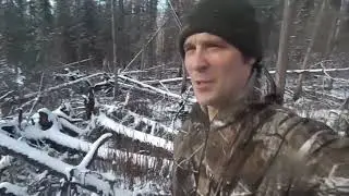 MEETING WITH MY FATHER. FIRES KILLED THE TAIGA. PART 9