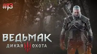 Ведьмак. А? Что? Где? | Ведьмак 3 Дикая охота | Прохождение The Witcher 3: Wild Hunt