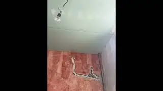 Переход на новый уровень😁