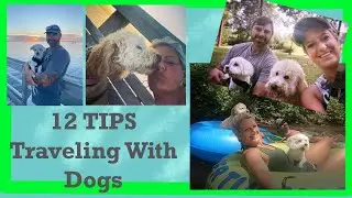 RV Travel With Dogs Our 12 TIPS