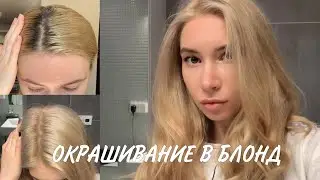 КАК ПОКРАСИТЬ ВОЛОСЫ В БЛОНД В ДОМАШНИХ УСЛОВИЯХ? Осветление корней+тонирование