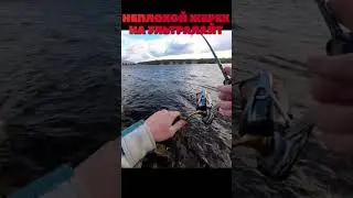 🦈НЕПЛОХОЙ ЖЕРЕХ НА УЛЬТРАЛАЙТ🦈