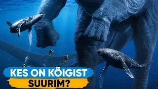 Kõige suuremad olendid, kes Maal kunagi elasid!