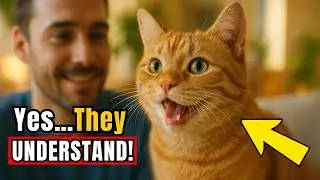 The RIGHT Way to Talk to Your Cat (Yes, They Understand!)