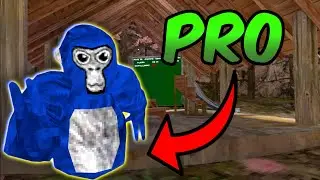 These Settings Will Make You a PRO