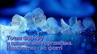 Точка Фэн-Фу и омоложение организма! Невероятно - но факт!