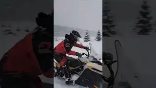 тикси