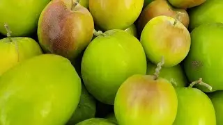 Organic Thai apple and red apple plums for my friends.