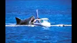 Megalodon Shark Attack Caught On Tape Attacking Crashed Air Plane Off Coast of Cambodia real or fake