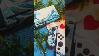 You can make your Nintendo Switch COZIER! 