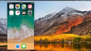 007 Настройка Flutter для macOS