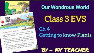 Getting to know Plants | Class 3|EVS | New NCERT
