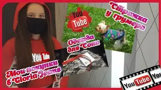 #влог СТРИЖКА У ГРУМЕРА🐕/ ПОКУПКИ В ЗООМАГАЗИНЕ👗/ ПОКУПКИ ОДЕЖДЫ 👗👕👖для Карины  в  💖Gloria Jeans💖