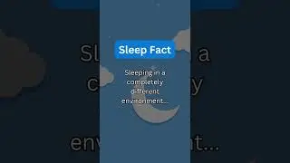 😴 Sleep Fact #sleepfacts #sleepbetter #shorts