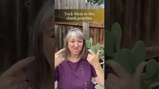 A New Trick You Must Know!  