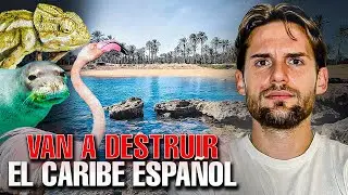 ECOLOGICAL CRIME in ALICANTE | The National Park We Lost