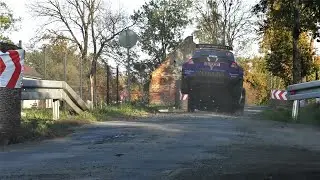 ERC Rally Silesia 2024 by Motulski