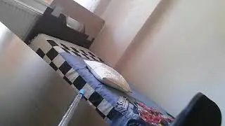 Muhabbet kuşu eğitim-3