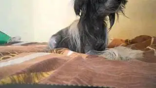 Wstydź się po naszemu :)