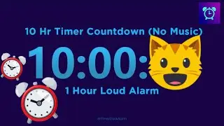 10 Hour Timer Countdown (No Music) with 1 Hour Loud Alarm