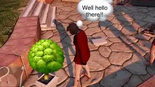 The Bush poofer Origin