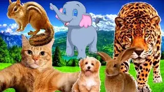 Animal sounds.  Sounds of cows, birds, dogs, cats and others.