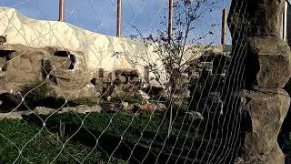 13 октября 2020 г.