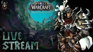 Тестируем билд через молотки / WoW Dragonflight 10.1