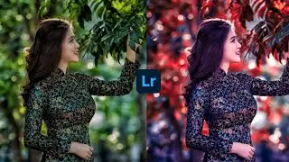 Lightroom professional editing #lightroom #lightroomediting#editing#editzarmy#photoeditingapp