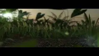 #CGI
