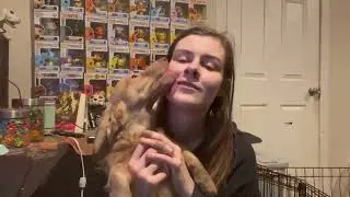Meet Mr Marbles