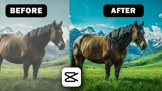 CapCut Color Grading: Transforming Your Footage Into Cinematic Masterpieces