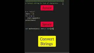 Junior Vs. Senior Python Developer 
