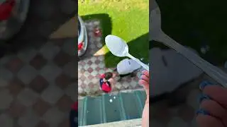 пранк над мужем😂 он всё понял?