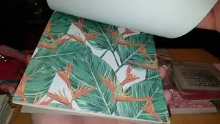 XXXL Action Haul