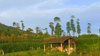 Indahnya Gunung Lawu - Merapi - Merbabu dari Selo Boyolali