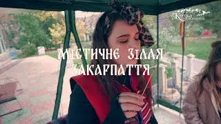 Квітка полонини: містичне зілля мольфарки