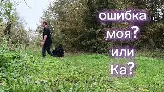 тренировка на берегу после плавания 23 сентября