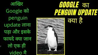 What is Google Penguin Update