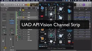Shaping your sound with the API Vision Channel Strip