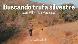 Buscando trufa silvestre con Alberto Pascual, recolector Laumont con más de 30 años de confianza.