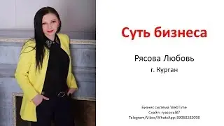Коротко о сути бизнеса  - бизнес система Web Time