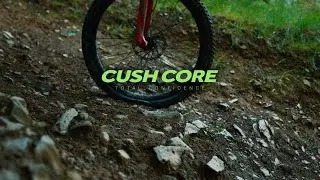 At the Core of Tire Suspension
