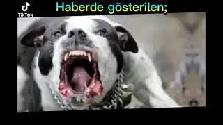 Haberlerde  gösterilen   vs    gerçekte   olan