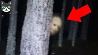 6 VIDEOS PARANORMALES CAPTADOS EN BOSQUES | MOMENTOS EXTRAÑOS CAPTADOS EN CAMARA