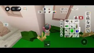 Compte Roblox ses chococa_lystarlla