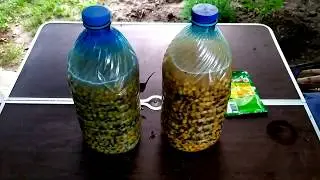 кукуруза на карпа , экспериментальный рецепт