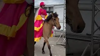 Вятская порода 