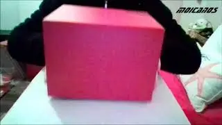 Unboxing Spiderman Collector's Edition Ps4