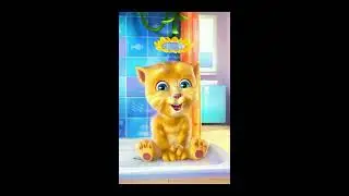 Chittiyaan Kalaiyaan Full Song - Roy - Talking Ginger
